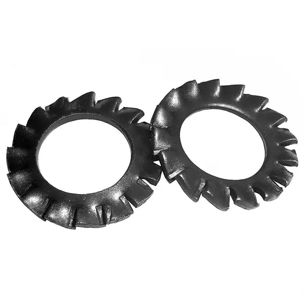 arruela dentada loja de parafusos campinas